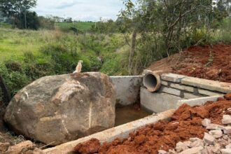 Cópia de padrao-site