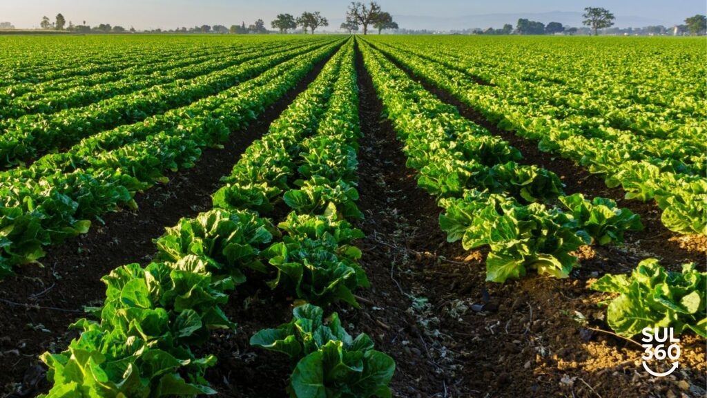 agricultura
