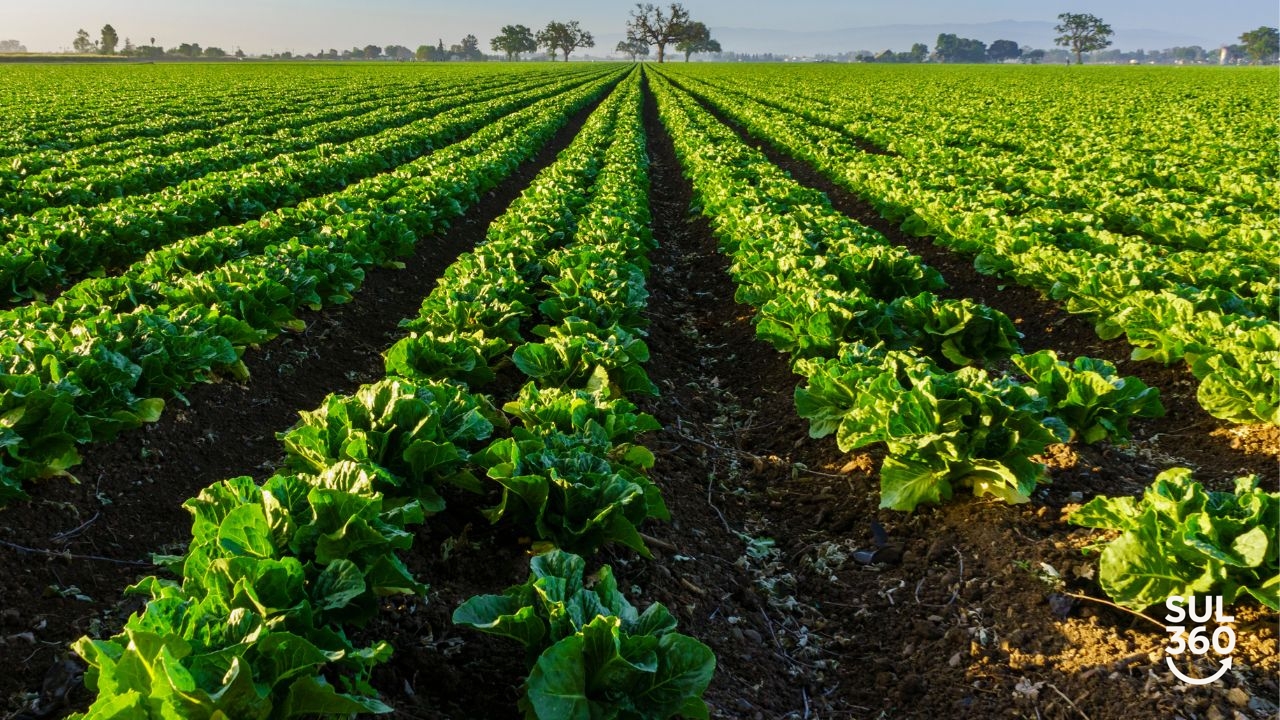 agricultura