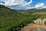 mata atlântica