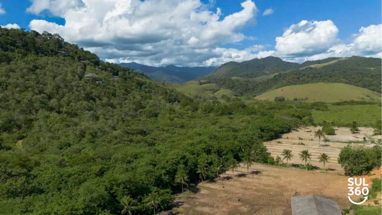 mata atlântica