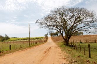 agro