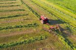 agricultura