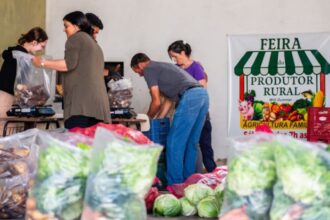 entrega-de-alimentos