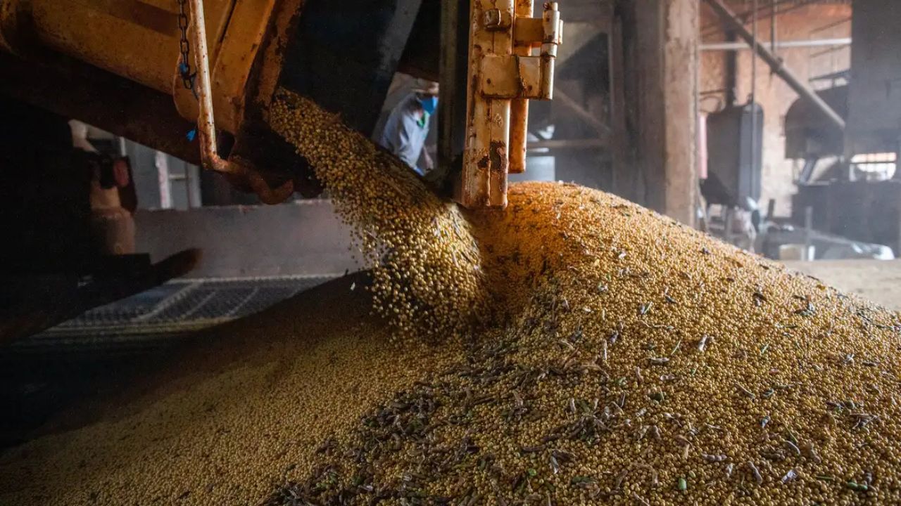 produção grãos