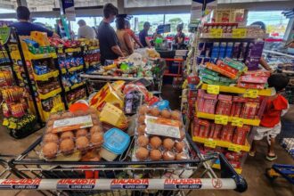 alimentos